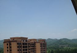 IMG_2795