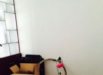 QQDƬ20161204173836