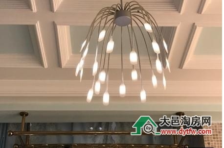 2017062310452153018