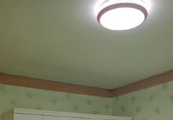 815992734728039506