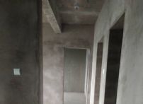620360873843615554