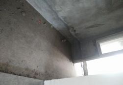 316069630446406938
