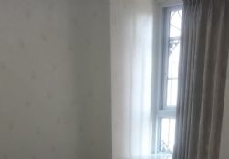 465818940291642527