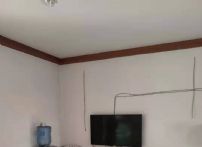 ΢ňDƬ_20190308091024