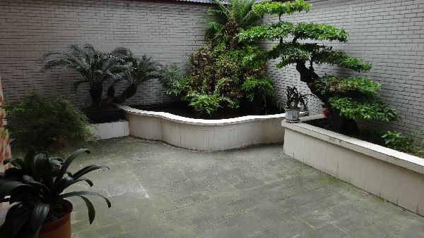 DSC03768
