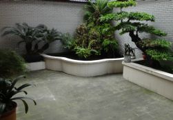 DSC03768