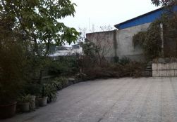 QQDƬ20150208101506