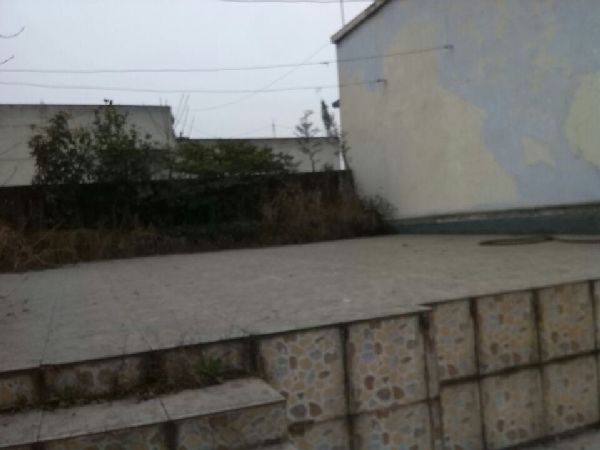 QQDƬ20150208101450