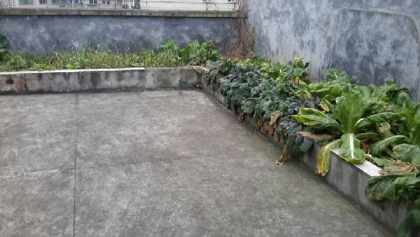QQDƬ20150228154827