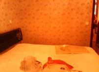 IMG_20150730_013731