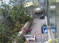 QQDƬ20141123190841