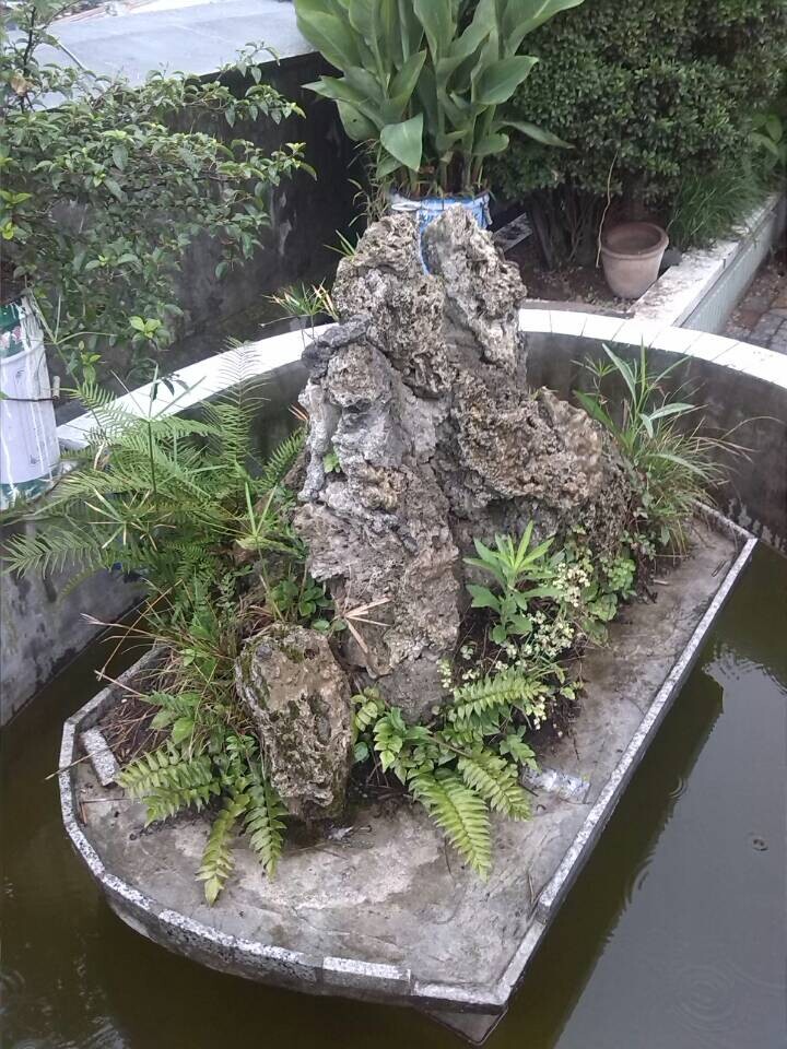 QQDƬ20140627094816