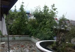 QQDƬ20140627094855