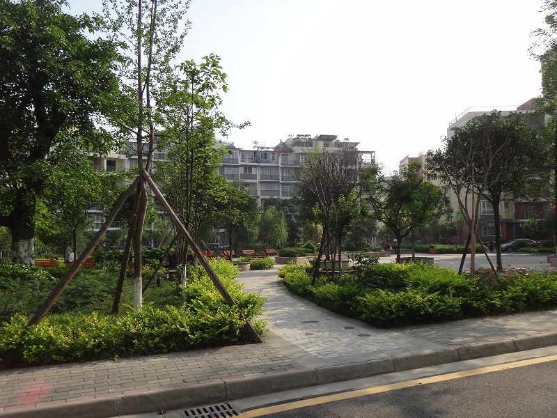 西嶺監(jiān)獄警官公寓,與四川聯(lián)合大學(xué)一墻之隔