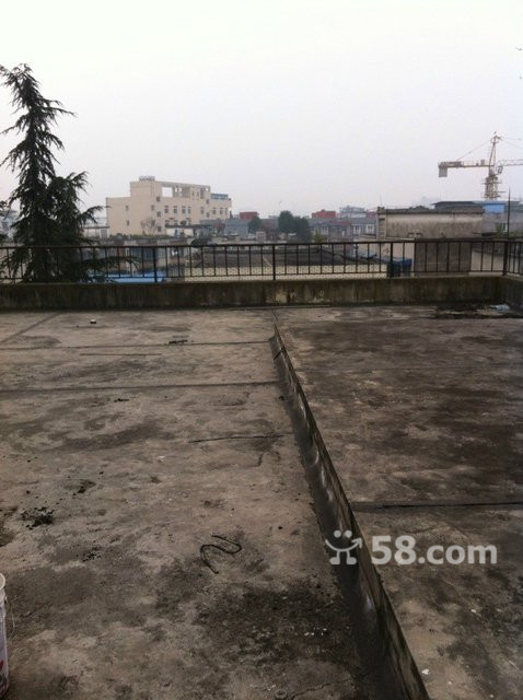 ]Դ ׸H10f Ib 200ƽ󻨈@